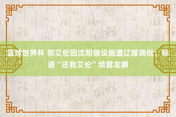 篮球世界杯 郭艾伦回沈阳领设施遭辽媒调侃：标语“还我艾伦”烦嚣龙狮